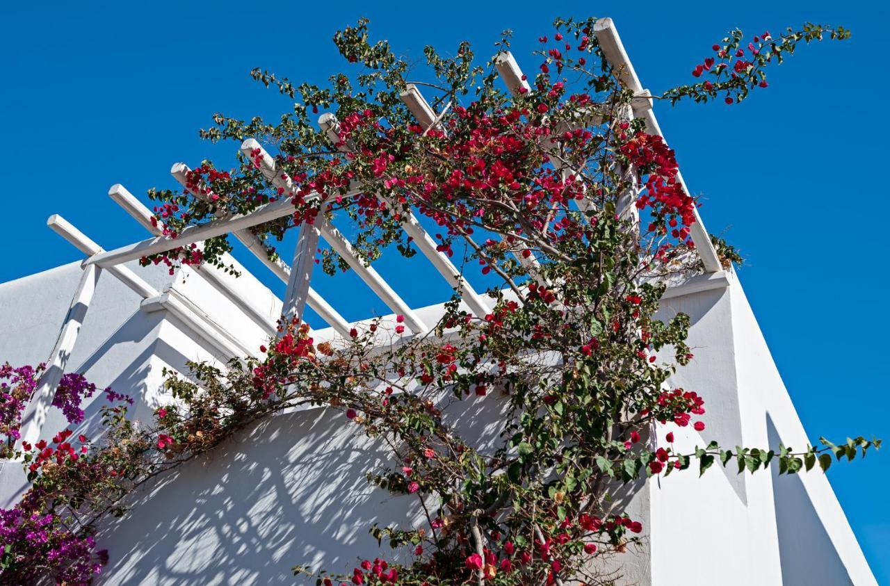 Вилла Casa Cozy Mykonos Town Экстерьер фото